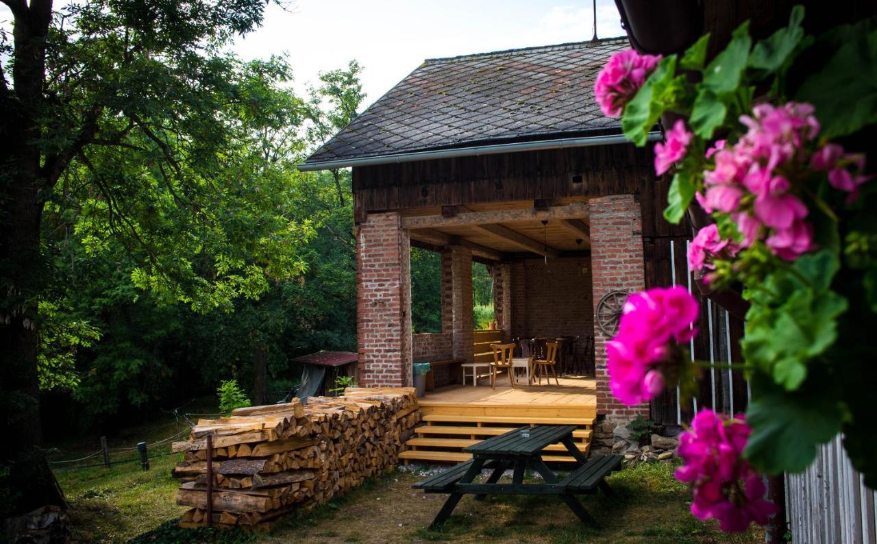 Guest house Knezicka *